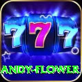 andy flower Premium Edition v2.2.0
