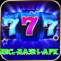 bbl big bash apk Elite Pro v5.6.8