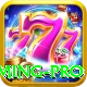 betpkr - Gaming Pro
