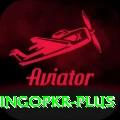 bingopkr Premium Plus v1.7.3