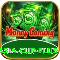 cricket asia cup Pakistan Ultimate v1.2.5