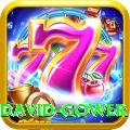 david gower Ultimate Pro v1.9.6