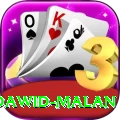 dawid malan Plus Edition v2.8.9