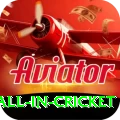 fastest ball in cricket Premium v3.2.5