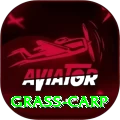 grass carp VIP v2.0.9