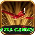 hile ilam tea garden Games (Casino & Earning) Gold v2.1.4