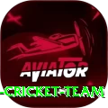 hong kong cricket team Premium Plus v2.8.4