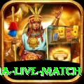 india australia live match VIP v5.5.0