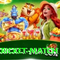 india cricket match Deluxe v4.9.9