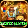 india pakistan cricket match Plus Edition v3.4.2