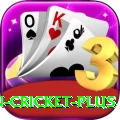 india pakistan cricket Earn Ultimate v4.3.4