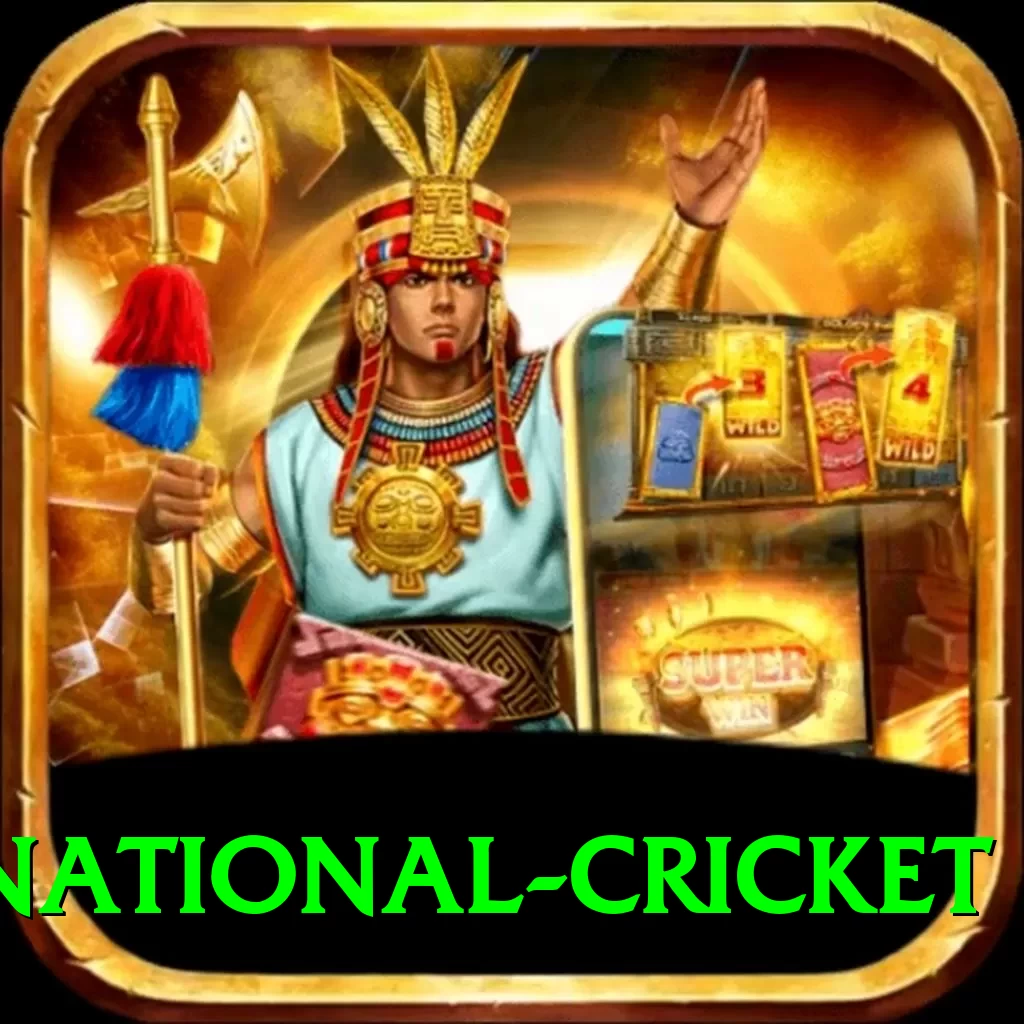 international cricket Pro - 2