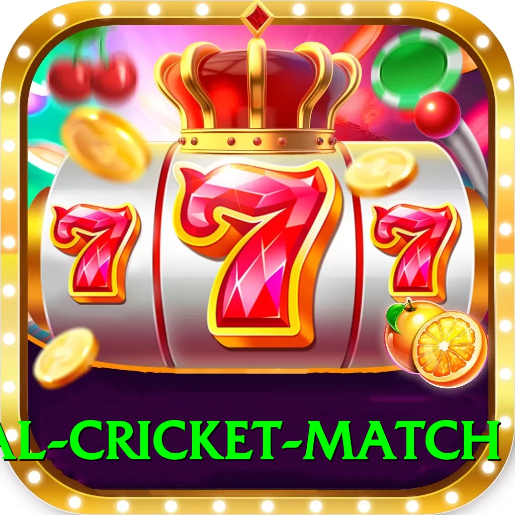 international cricket match VIP v1.9.0 - 2