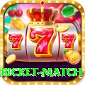 international cricket match VIP v1.9.0