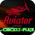 international cricket Game VIP v1.0.3