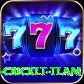 ireland cricket team Premium v3.0.7
