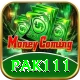 pak111 Gold v2.9.5