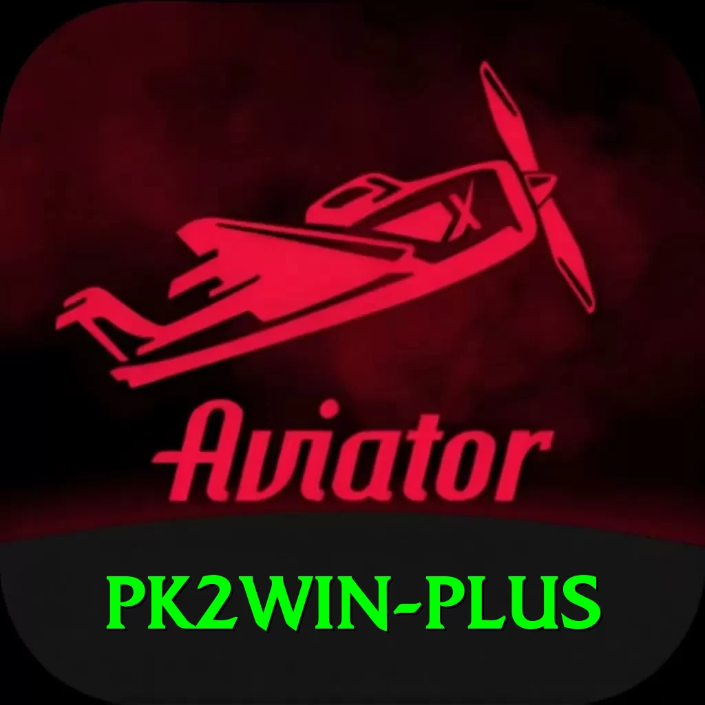 pk2win VIP Edition v4.5.0 - 2