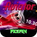 pkspin Master Pro vv1.8.3