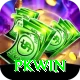 PKWin Plus Pro vv1.4.4
