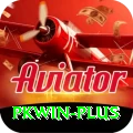 pkwin Pro v3.8.6
