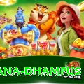 pothana dhampus Gold Pro v4.5.4