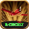r cricket Premium Plus v3.4.3