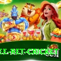 risk free bet cricket Pro