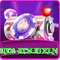 rudi koertzen Premium Plus v3.5.7