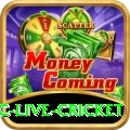 smartcric live cricket Turbo v4.8.2