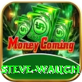 steve waugh Gold v4.5.7