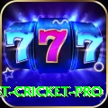 test cricket Slot Machine King