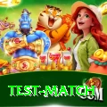 test match Master Pro v3.5.4