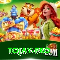 tojay Premium Edition v5.1.5
