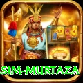 yasim murtaza Master Pro v4.6.3